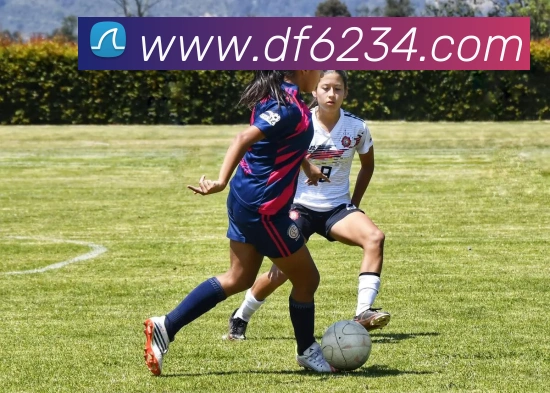 巅峰国际APP 高清赛事图